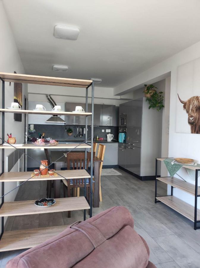 Mezadler Apartment Kosice Bagian luar foto